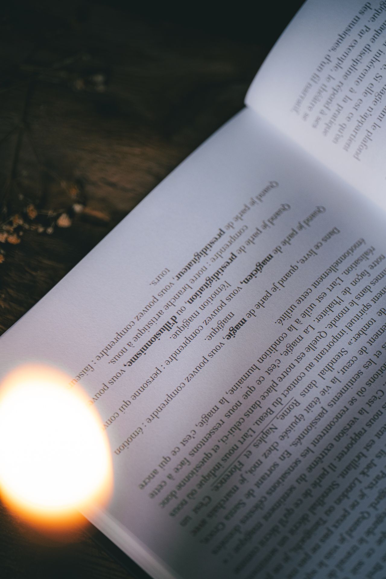 Du sang bleu et des étoiles - Quentin Metenier