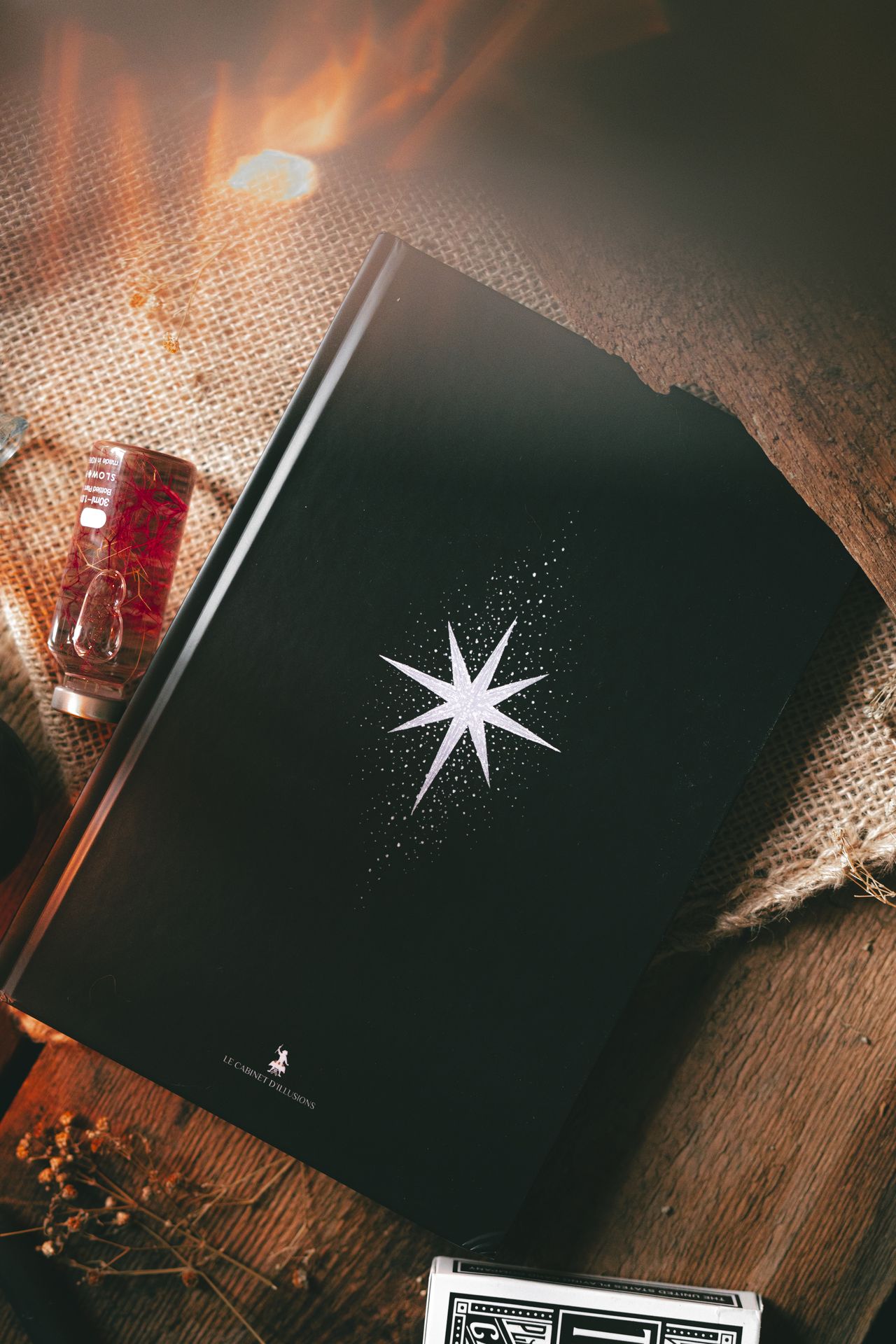 Du sang bleu et des étoiles