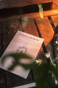 _NN73381.webp