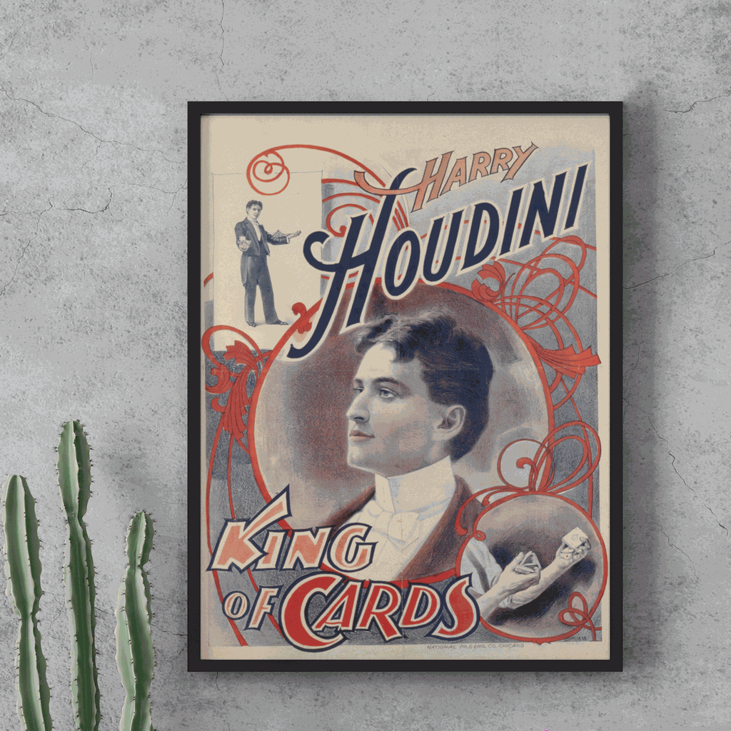 Affiche métal Houdini