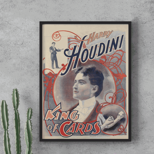 Affiche métal Houdini